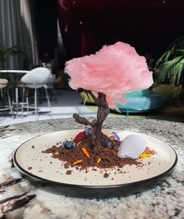 El postre nube: algodón de azúcar sobre árbol de chocolate